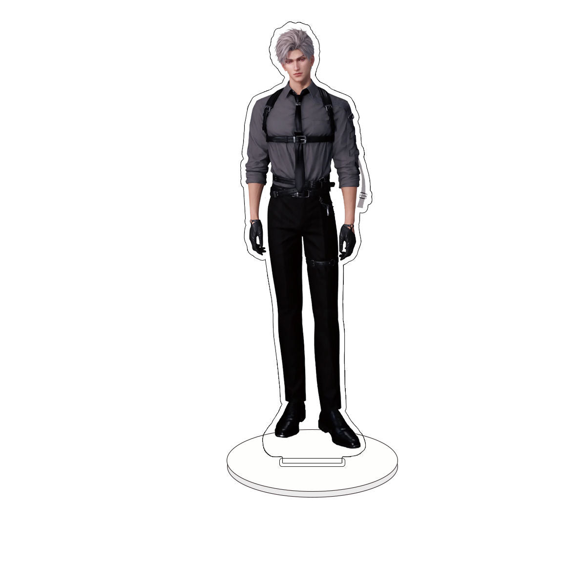 045 LAD Anatomical Acrylic Standee Set