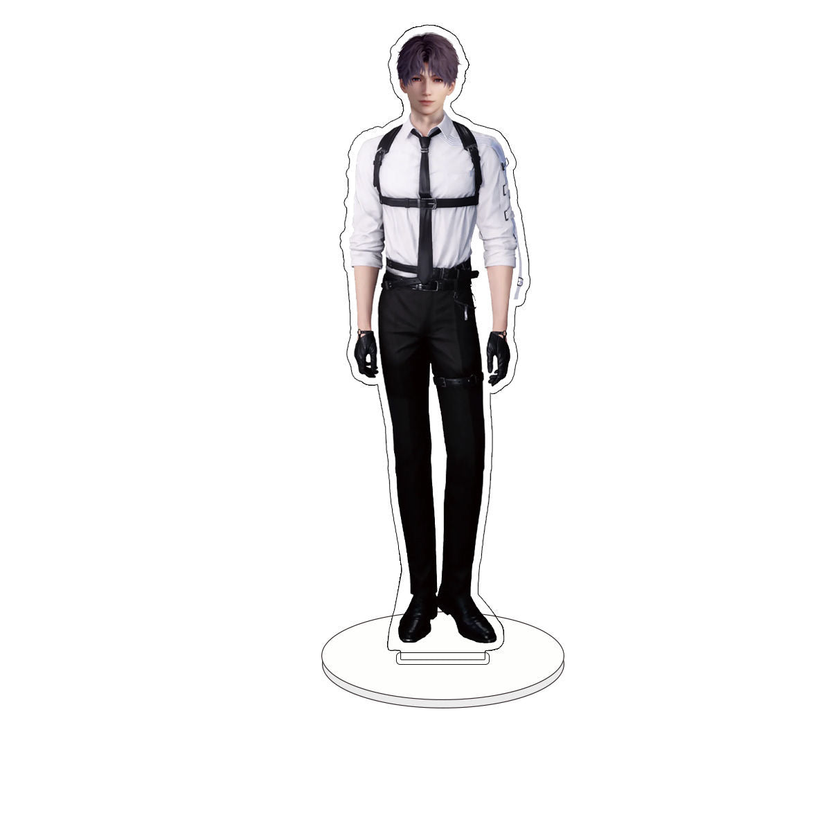045 LAD Anatomical Acrylic Standee Set