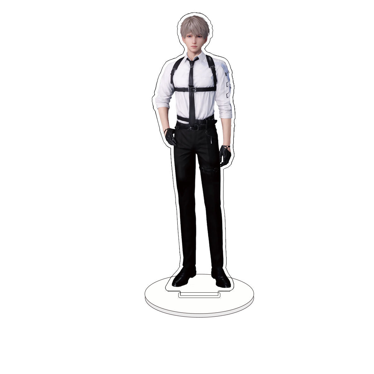 045 LAD Anatomical Acrylic Standee Set