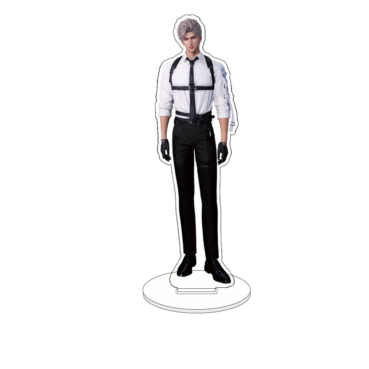 045 LAD Anatomical Acrylic Standee Set