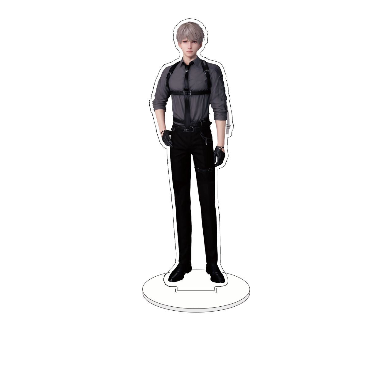 045 LAD Anatomical Acrylic Standee Set