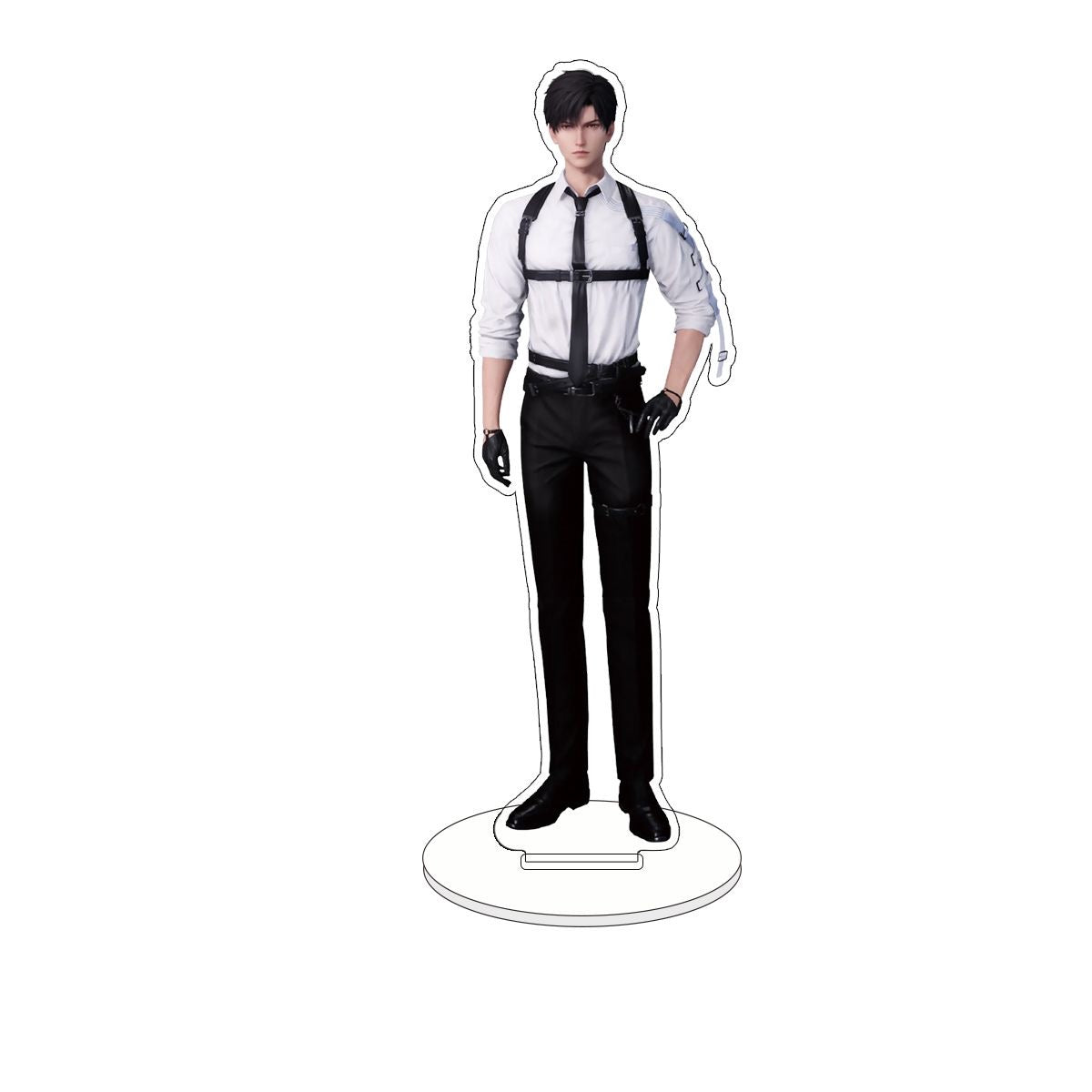 045 LAD Anatomical Acrylic Standee Set