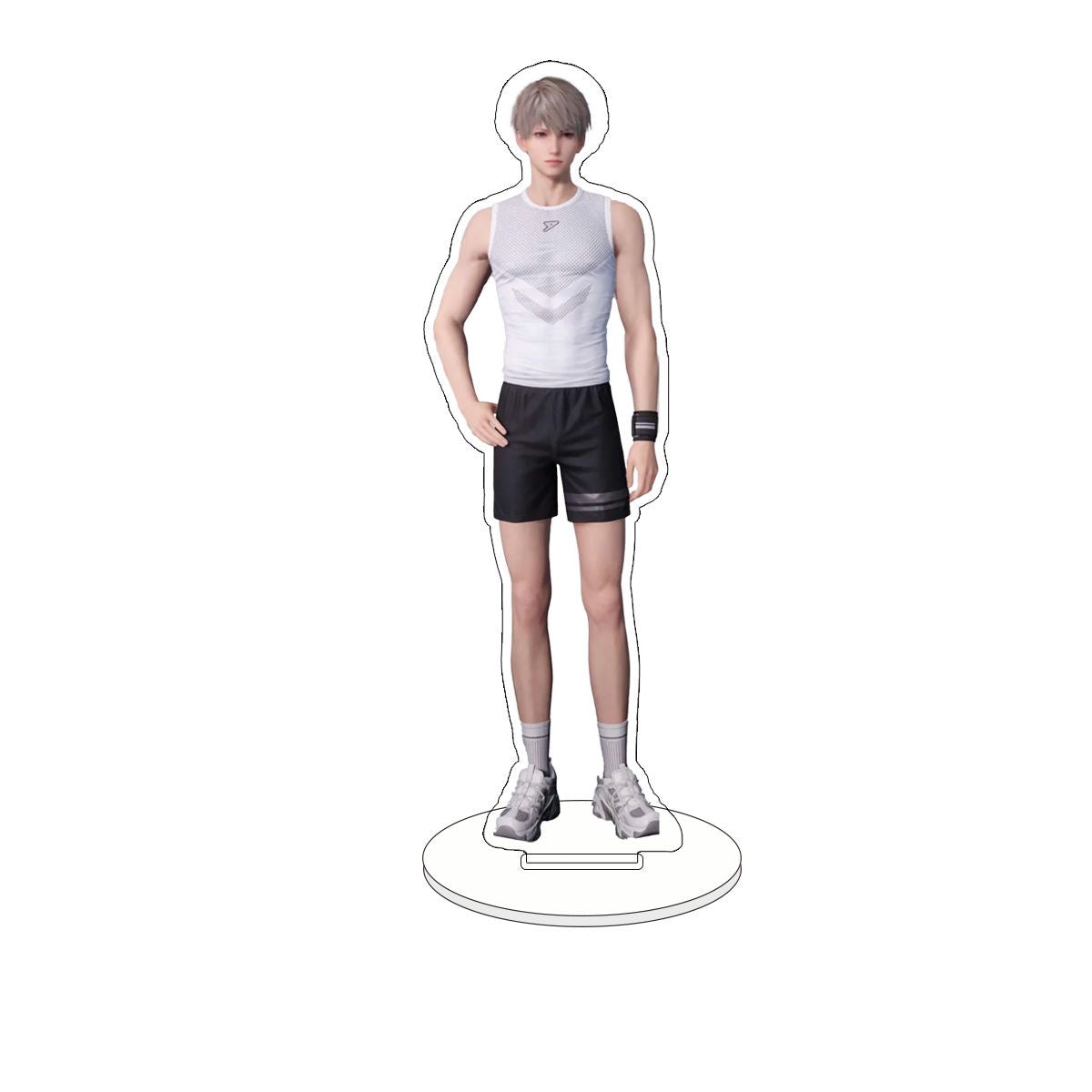 045 LAD Anatomical Acrylic Standee Set