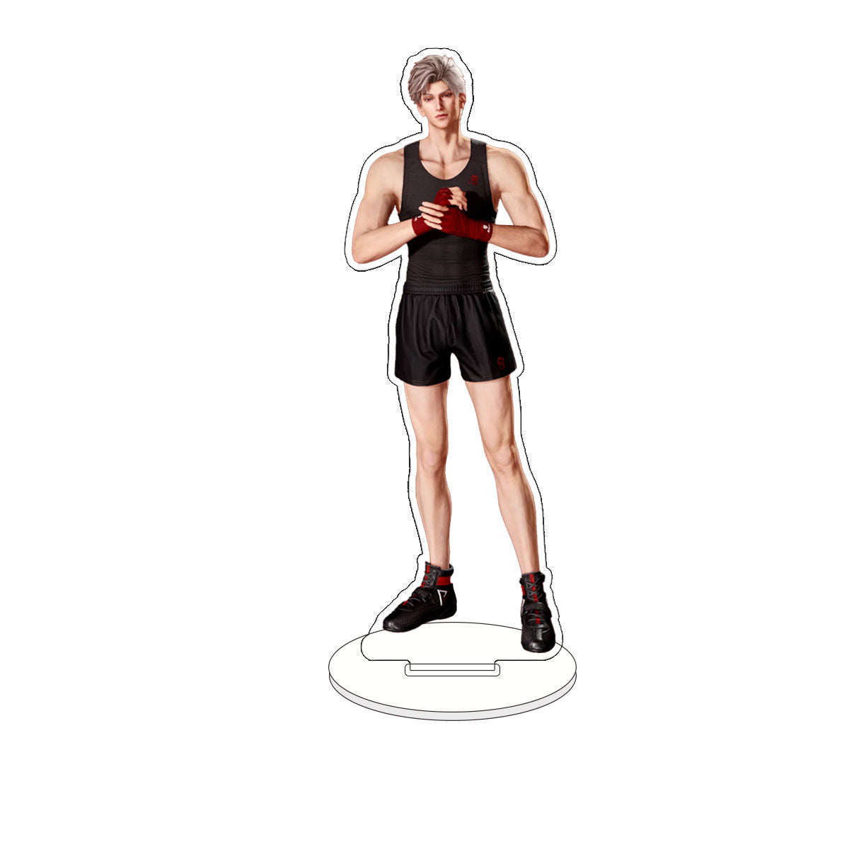 045 LAD Anatomical Acrylic Standee Set